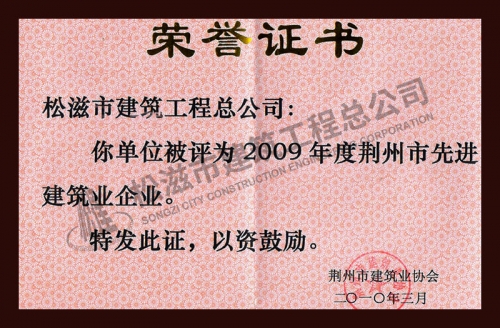 2009荊州先進(jìn)企業(yè)