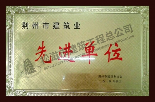 2013荊州先進企業(yè)